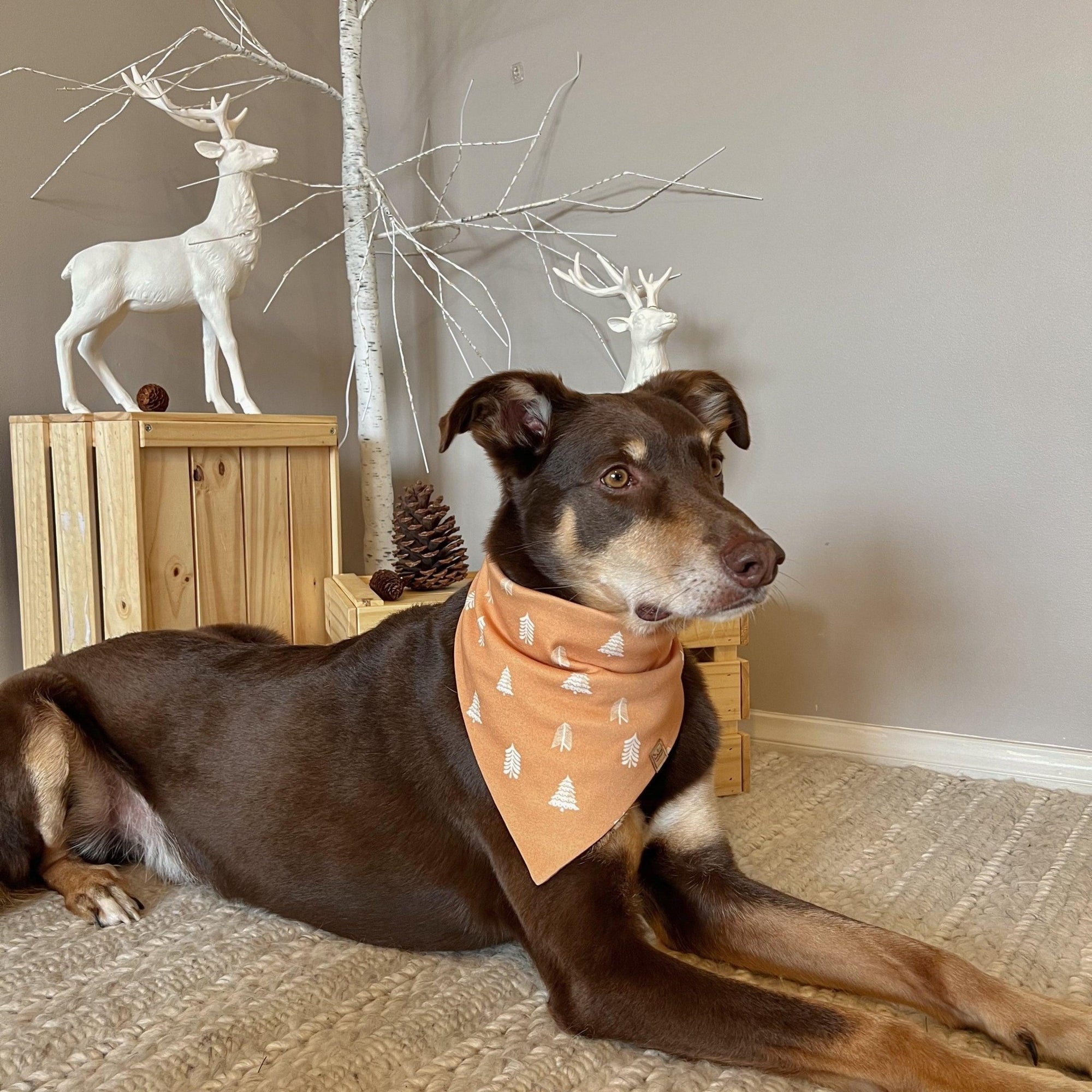 Christmas Bandana - Organic Cotton - Bohemi