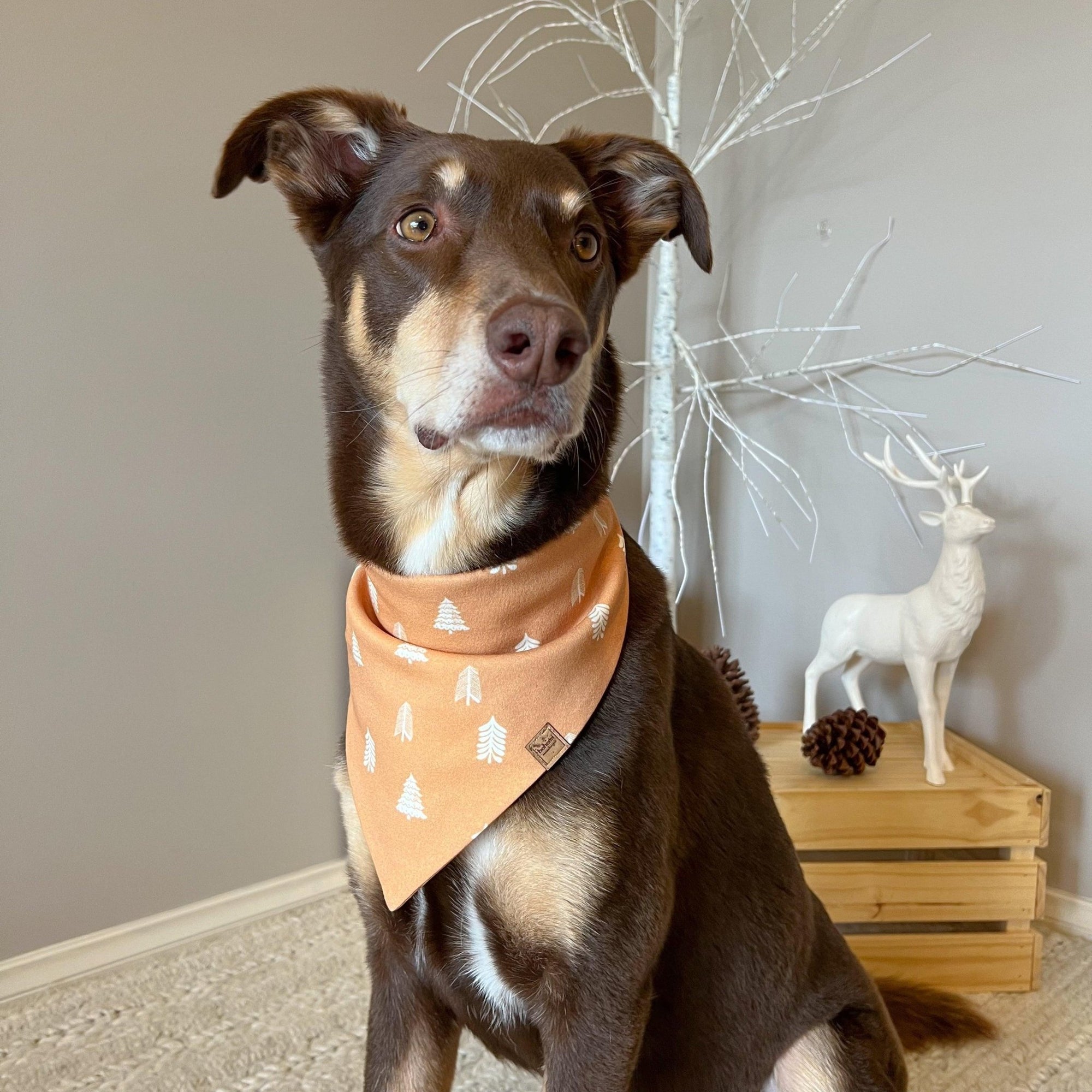 Christmas Bandana - Organic Cotton - Bohemi