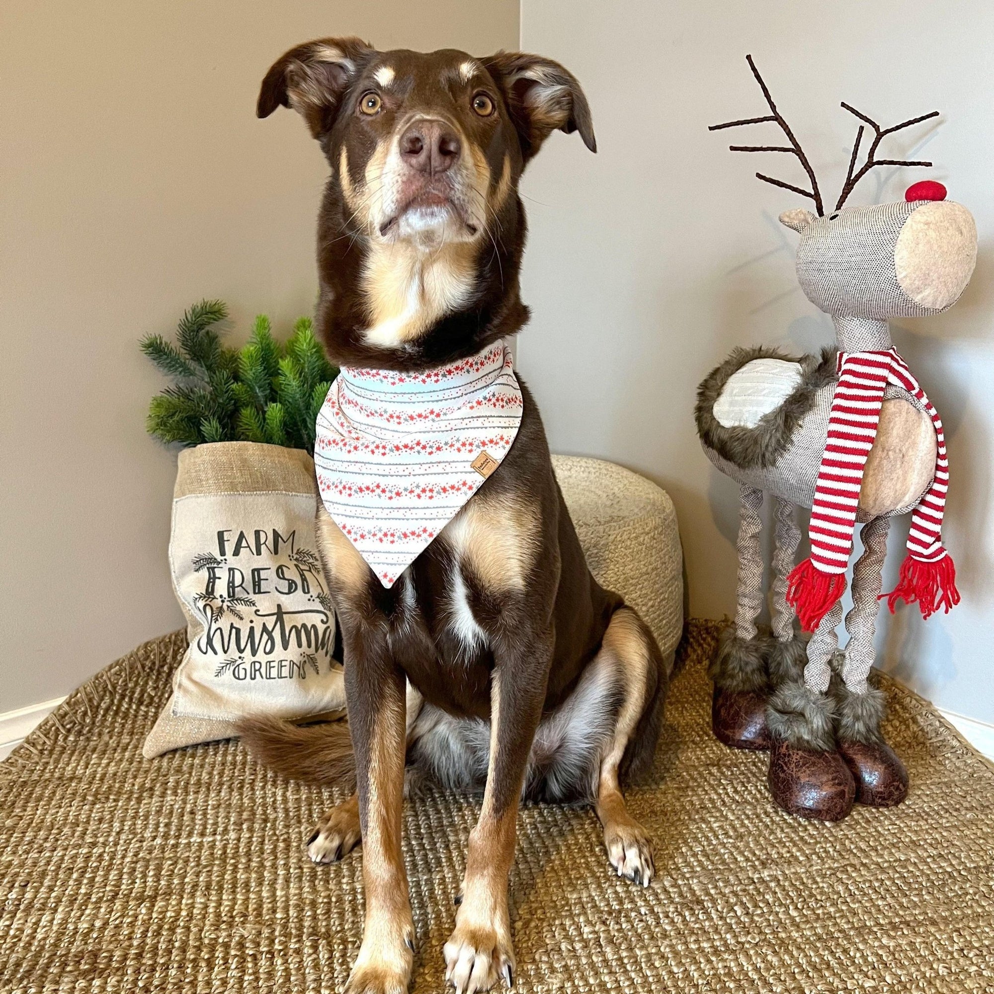Christmas Bandana - Organic Cotton - Bohemi