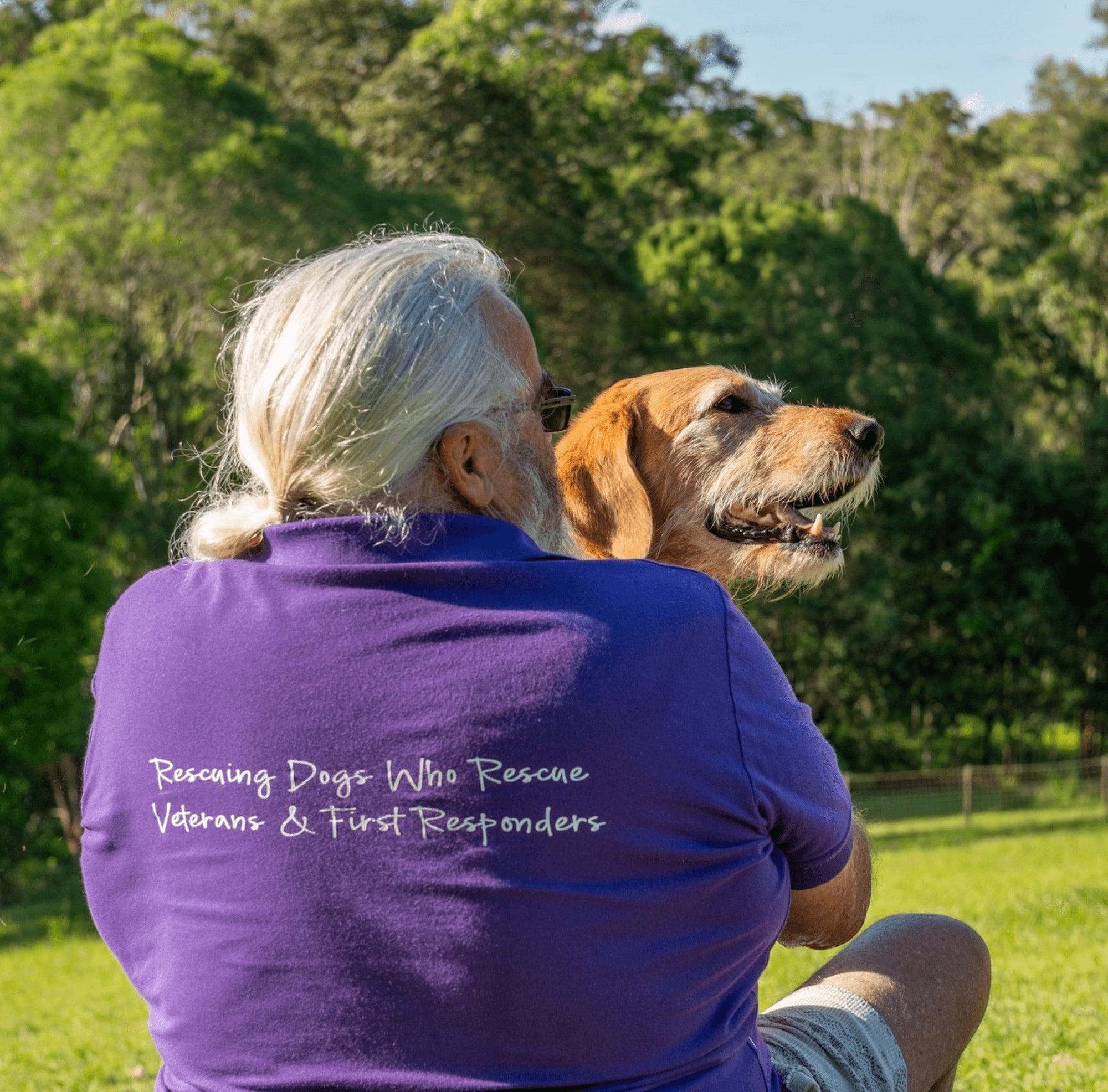Bohemi + PTSD Dogs Australia - Bohemi