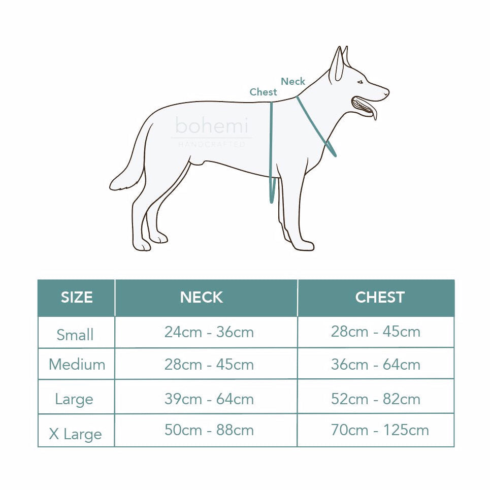 Dog collar size guide with a line drawing of a dog showing neck and chest measurement points, plus a size table listing Small, Medium, Large, and X Large neck and chest ranges in centimeters.