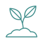 new plant growing icon
