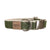 Hemp & Organic Cotton Dog Collar ~ Olive - Bohemi