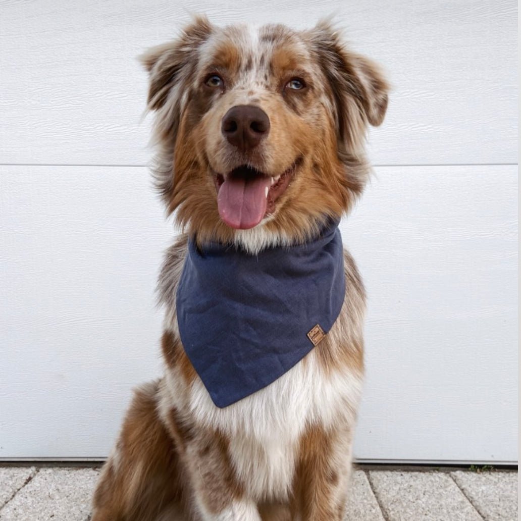 Bohemi Linen Dog Bandana Denim